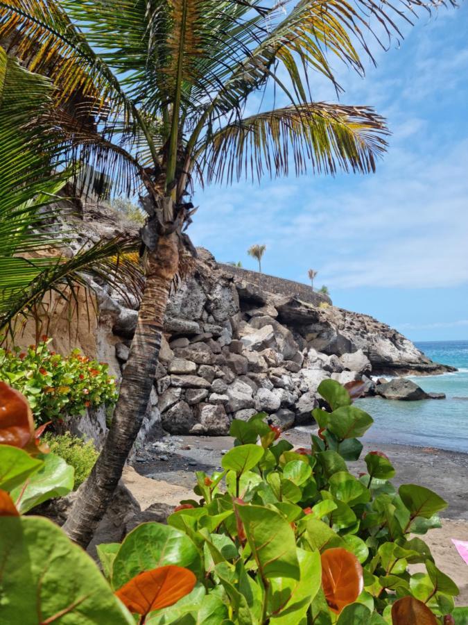 Stunning Studio With A Sea View And Pool, Paraiso Del Sur 1309 Costa Adeje  Bagian luar foto